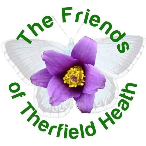 The Friends of Therfield Heath: Tree and Wildlife Walk & Litter Pick