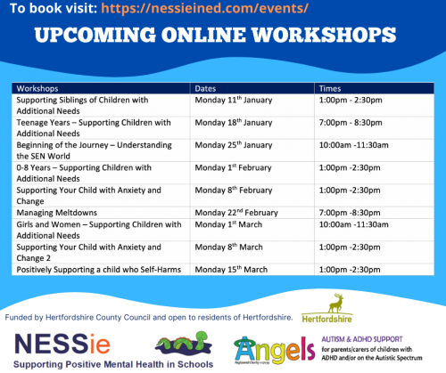 Online Workshops: Child Support