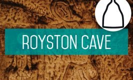 Royston Cave, 2022: A Year of Discovery